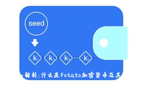 深入解析：什么是Potato加密货币及其影响